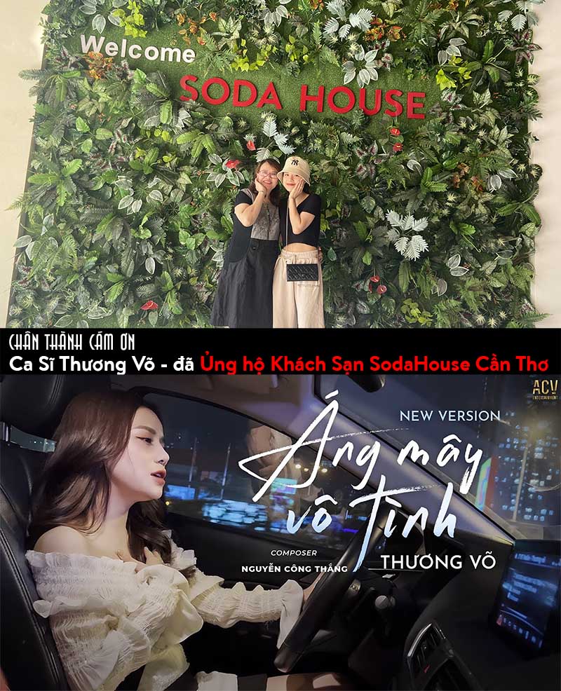 ca si thuong vo (web)