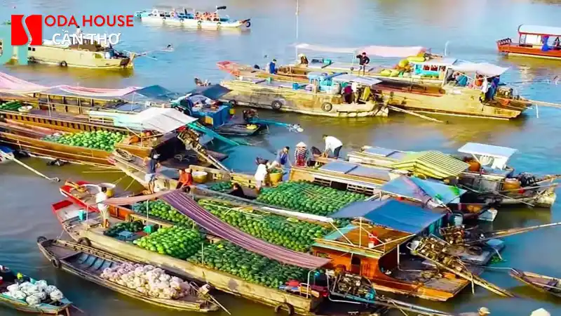 Bảo tàng Cần Thơ: Nơi lưu giữ văn hóa miền sông nước - 5