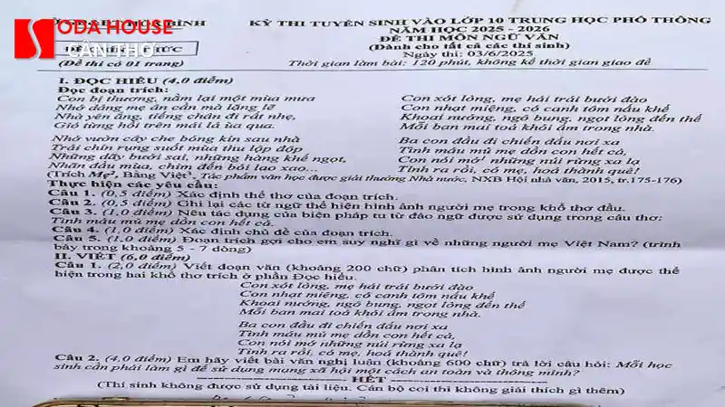 Chợ Cần Thơ (Chợ Hàng Dương): Mua gì làm quà? - 3