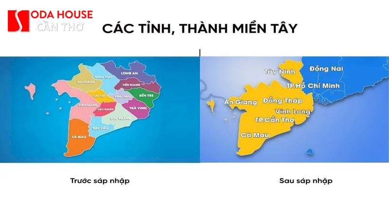 Chợ Cần Thơ (Chợ Hàng Dương): Mua gì làm quà? - 4