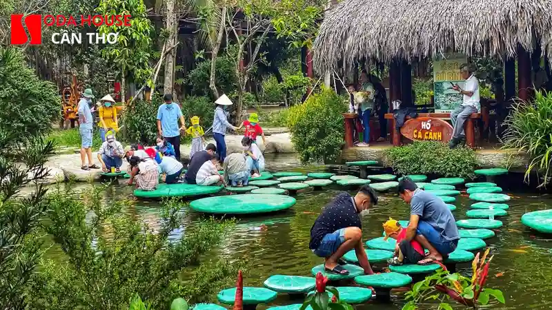 Du lịch sinh thái Cần Thơ: Về miền Tây sông nước miệt vườn - 4