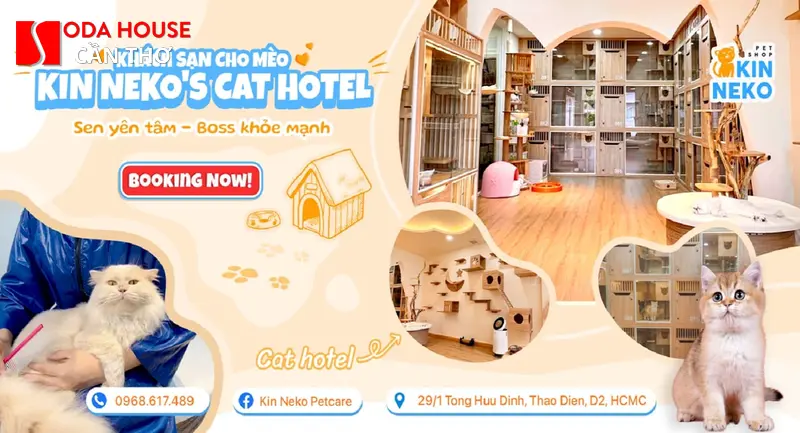Các khách sạn Cần Thơ cho phép mang thú cưng (Phòng tình yêu) - 5