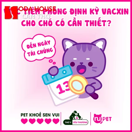 Các khách sạn Cần Thơ cho phép mang thú cưng (Phòng tình yêu) - 1