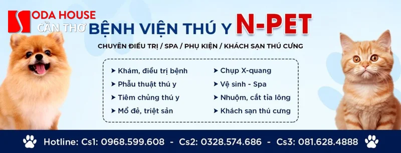 Các khách sạn Cần Thơ cho phép mang thú cưng (Phòng tình yêu) - 4