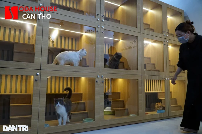 Các khách sạn Cần Thơ cho phép mang thú cưng (Phòng tình yêu) - 3