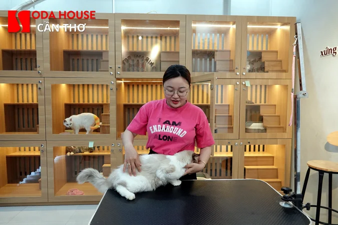 Các khách sạn Cần Thơ cho phép mang thú cưng (Phòng tình yêu) - 2