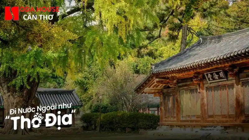 Kinh nghiệm đặt phòng khách sạn Cần Thơ mùa cao điểm không bị hết - 1