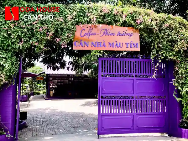 Check-in Cafe Căn Nhà Màu Tím: Giá vé & Đường đi từ sân bay - 5
