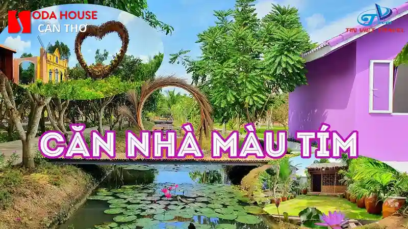 Check-in Cafe Căn Nhà Màu Tím: Giá vé & Đường đi từ sân bay - 1