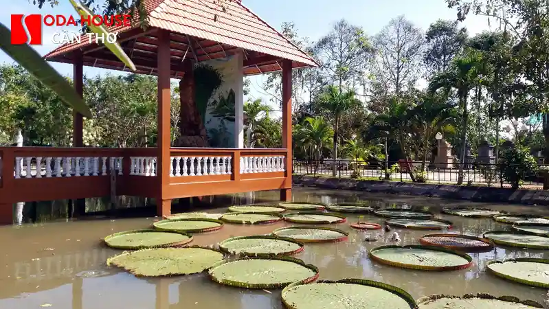 Review Chùa Long Quang (Chùa Mộc) Bình Thủy - 4