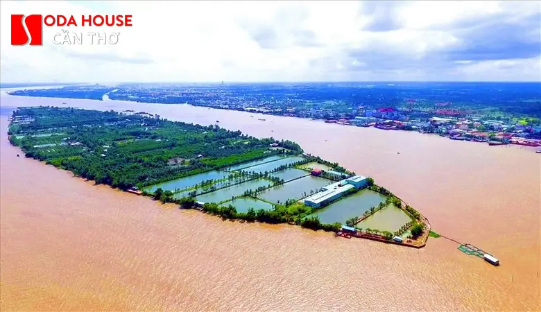 Du lịch Cồn Sơn Cần Thơ: Ăn gì, Chơi gì, Giá vé tàu 2025 - 1