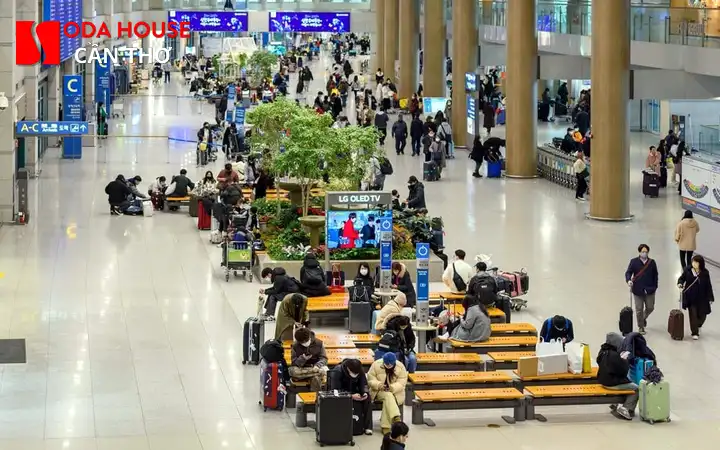Bay chuyến sớm tại Cần Thơ nên ở khách sạn nào tiện nhất? - 1