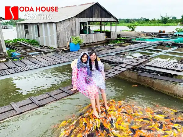 Hướng dẫn đi Cồn Sơn tự túc chi tiết từ A-Z - 1