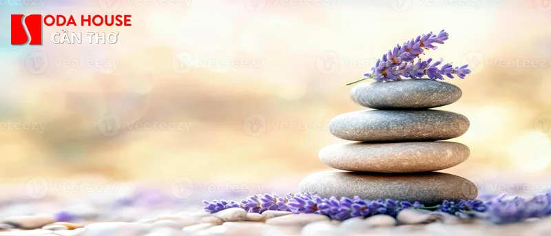 Review Massage Lavender Cần Thơ: Không gian sang trọng, thư giãn - 3