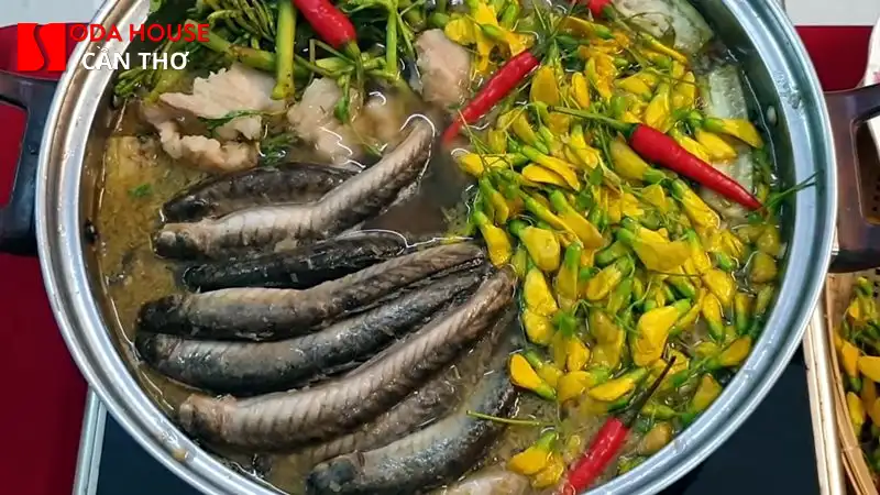 Quán lẩu ngon Cần Thơ khu vực Bình Thủy cho nhóm bạn - 3