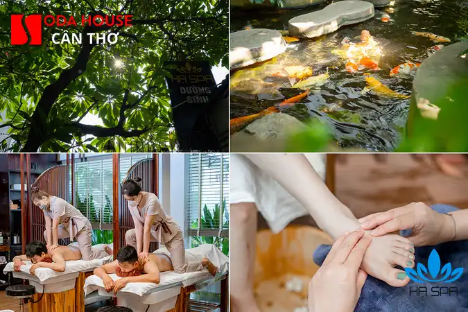 So sánh Massage Tô Châu và Dubai Cần Thơ: Nên đi đâu \ - 1