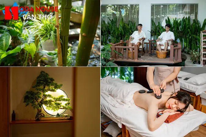 So sánh Massage Tô Châu và Dubai Cần Thơ: Nên đi đâu \ - 2